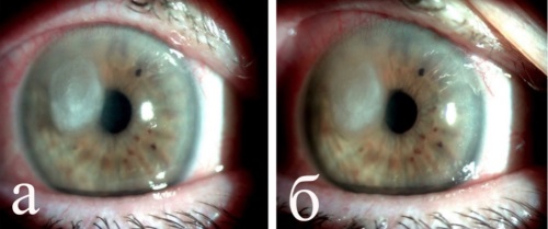 Изображение на обложке